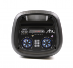 Акустическая колонка QS-2213