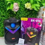 Акустическая колонка BK-816