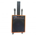 Акустическая система с микрофонами BK-SZ101