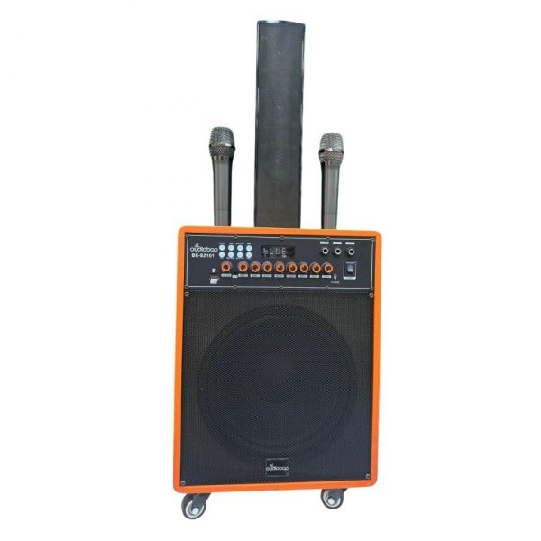 Акустическая система с микрофонами BK-SZ101