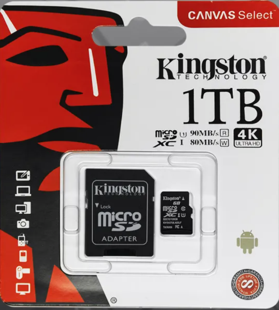09. KINGSTON Memory Card micro (1Tb)