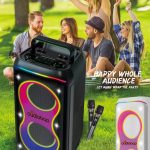 Акустическая колонка BK-6618