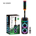 Акустическая система BKSZ-8899